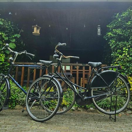 "De Jungle" Chalet Met Veranda Op Ijsselheide Hattemerbroek Veluwe 外观 照片