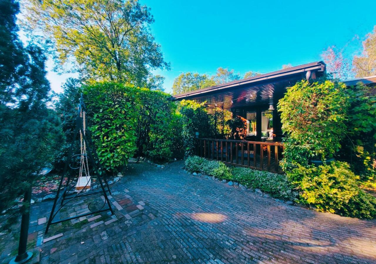 "De Jungle" Chalet Met Veranda Op Ijsselheide Hattemerbroek Veluwe 外观 照片