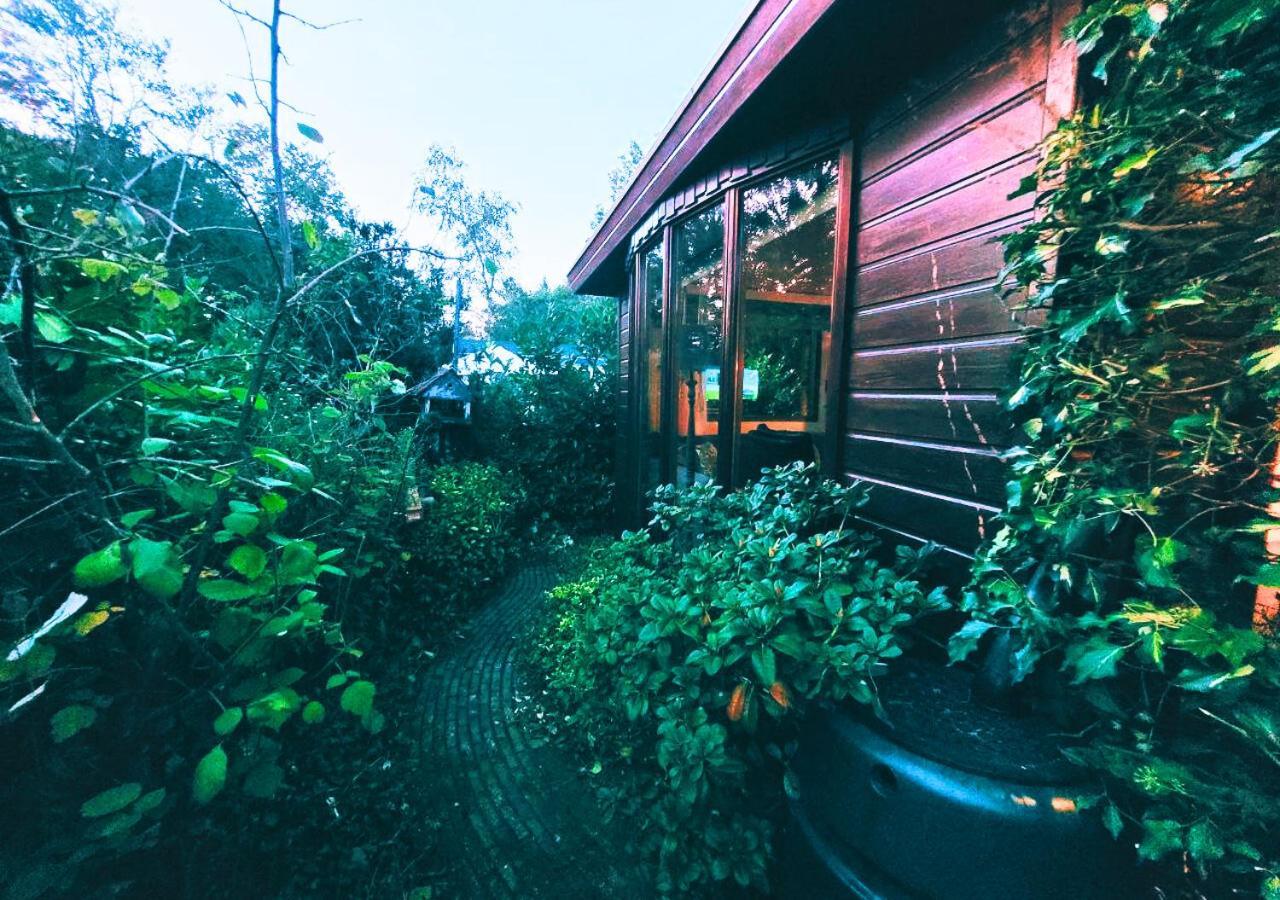 "De Jungle" Chalet Met Veranda Op Ijsselheide Hattemerbroek Veluwe 外观 照片