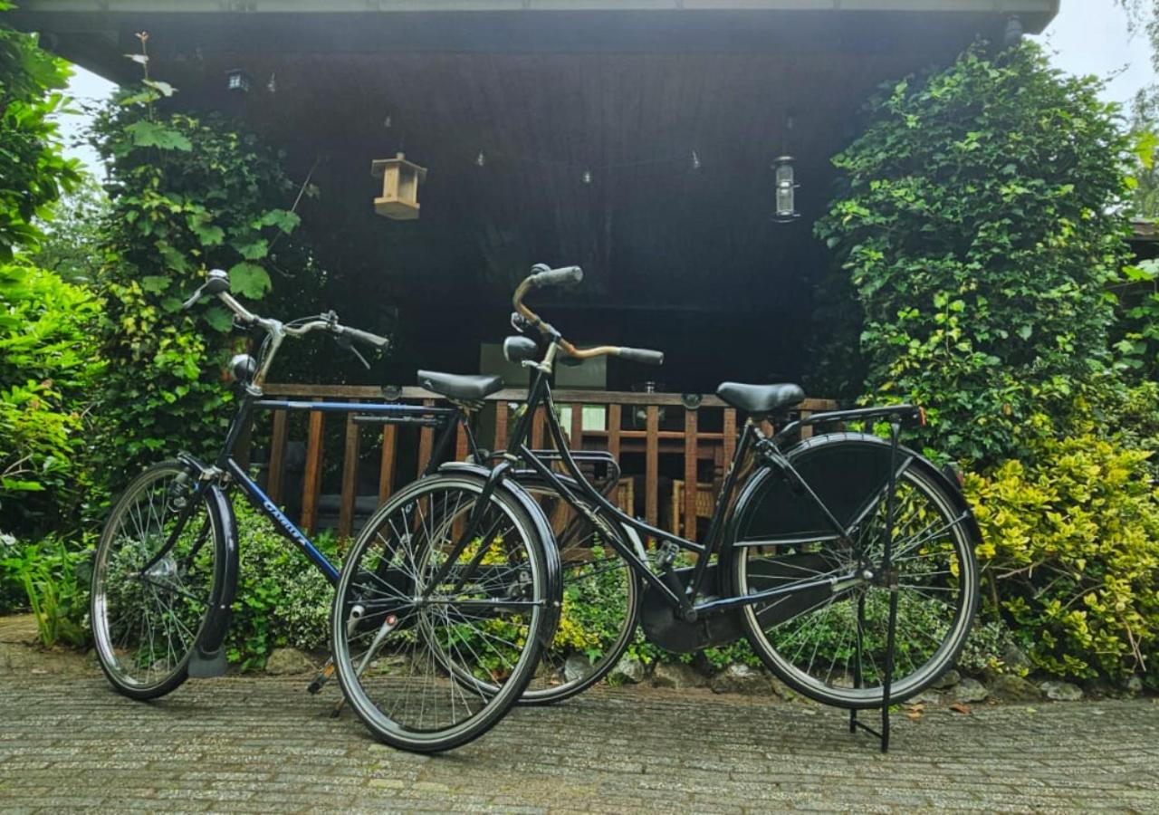 "De Jungle" Chalet Met Veranda Op Ijsselheide Hattemerbroek Veluwe 外观 照片